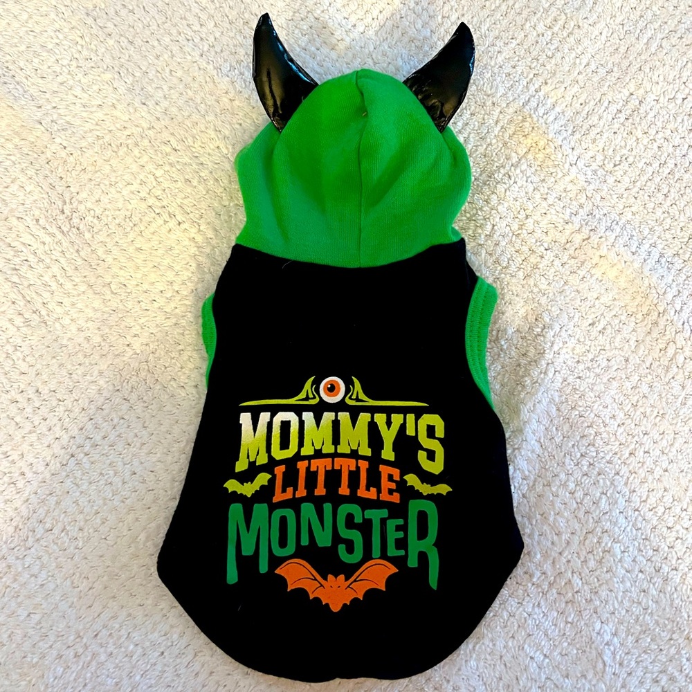 Sweatshirt for puppy/tiny dog.